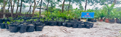 Triệu Phong: Hỗ trợ xây dựng mô hình “Vườn ươm - Vườn cây sinh kế” cho thanh niên 