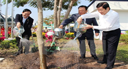 Chủ tịch nước phát động “Tết trồng cây đời đời nhớ ơn Bác Hồ” năm 2016