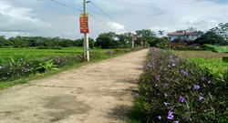 Đoàn cơ sở Thị trấn Ái Tử: Xây dựng tuyến đường hoa thanh niên