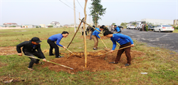  Triệu Phong: Đoàn viên thanh niên tham gia Lễ Phát động Tết trồng cây năm 2020
