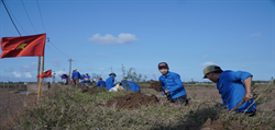 'Áo xanh' tình nguyện ra đồng dọn bùn đất giúp dân